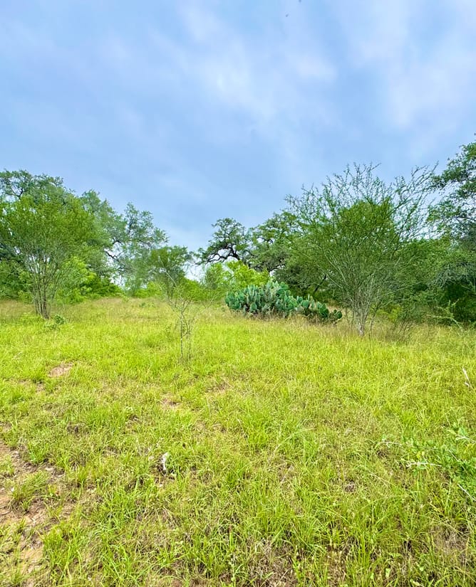 10 Acres SE of Seguin