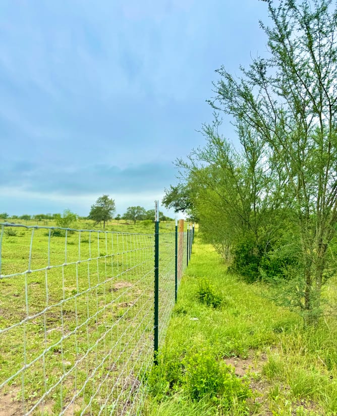 10 Acres SE of Seguin