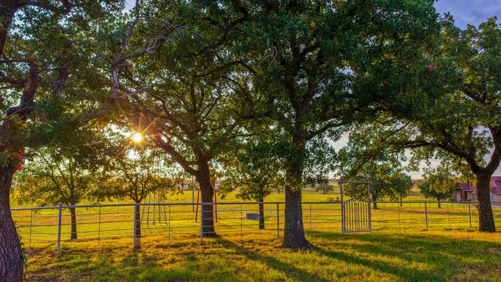 4 Welch Ranch, mature oak trees, hardwood trees, ponds, native grasses, electric, Main House, Barndominium, shop