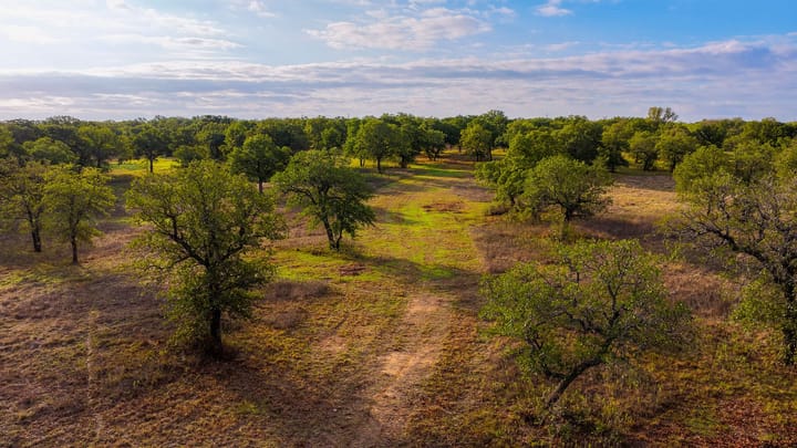 4 Welch Ranch, mature oak trees, hardwood trees, ponds, native grasses, electric, Main House, Barndominium, shop