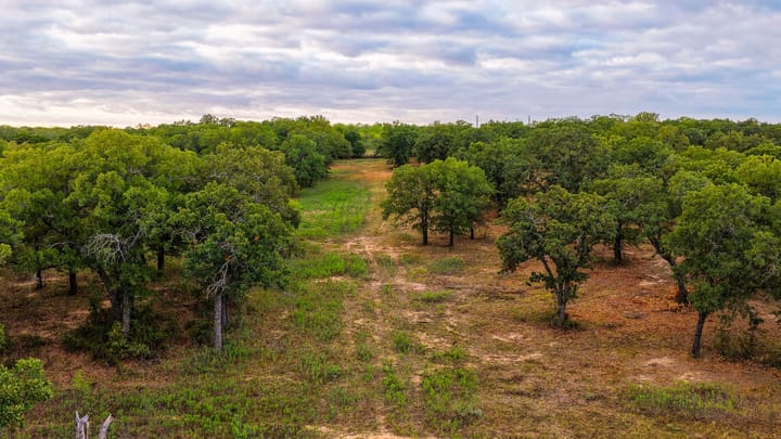 4 Welch Ranch, mature oak trees, hardwood trees, ponds, native grasses, electric, Main House, Barndominium, shop