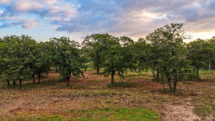 4 Welch Ranch, mature oak trees, hardwood trees, ponds, native grasses, electric, Main House, Barndominium, shop