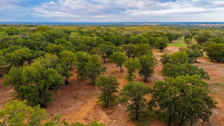 4 Welch Ranch, mature oak trees, hardwood trees, ponds, native grasses, electric, Main House, Barndominium, shop