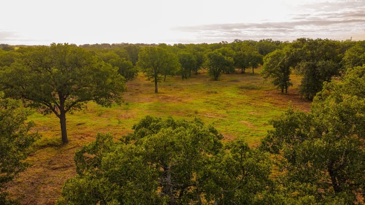 4 Welch Ranch, mature oak trees, hardwood trees, ponds, native grasses, electric, Main House, Barndominium, shop
