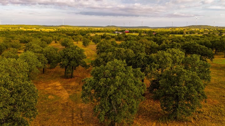 4 Welch Ranch, mature oak trees, hardwood trees, ponds, native grasses, electric, Main House, Barndominium, shop
