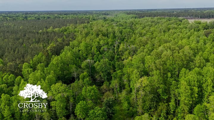 Dji 20260413164919 0051 D