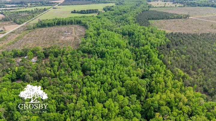 Dji 20260413165158 0053 D
