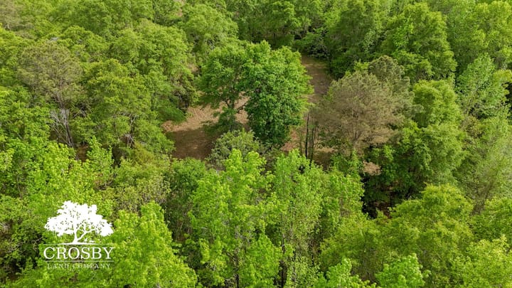 Dji 20260413165518 0058 D
