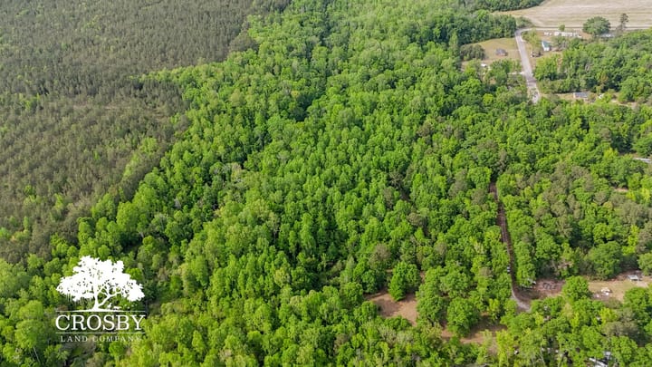 Dji 20260413164810 0050 D