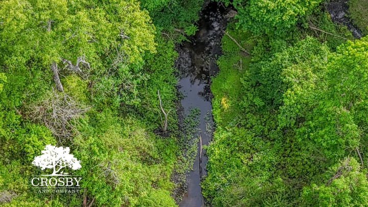 Dji 20260413165309 0056 D