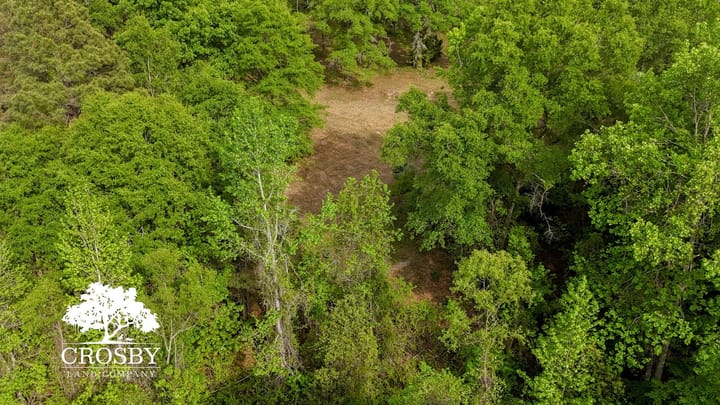 Dji 20260413165447 0057 D