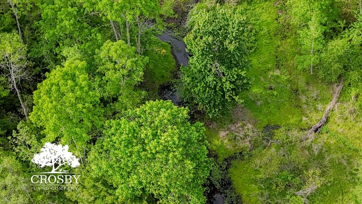 Dji 20260413164935 0052 D