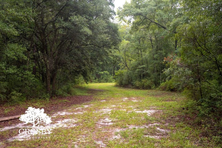  Dsc1613