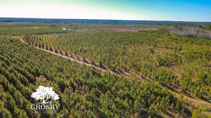 Dji Fly 20251231 150516 354 1767212318259 Photo Optimized