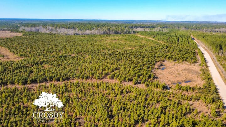 Dji Fly 20251231 143404 337 1767212323499 Photo Optimized