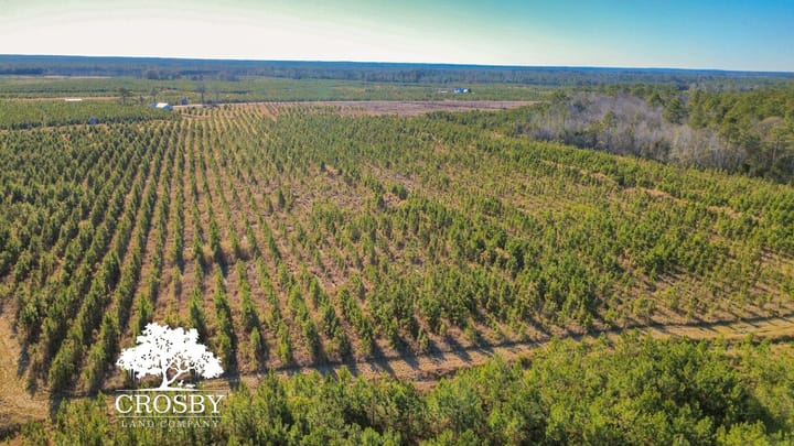 Dji Fly 20251231 150634 363 1767212299948 Photo Optimized