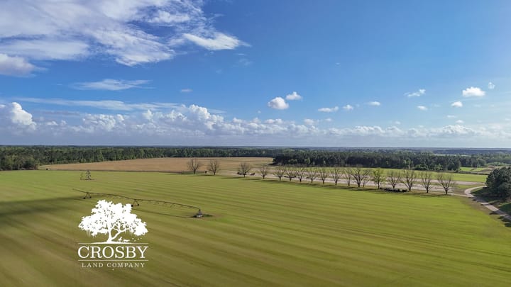 Dji 20260403172208 0016 D
