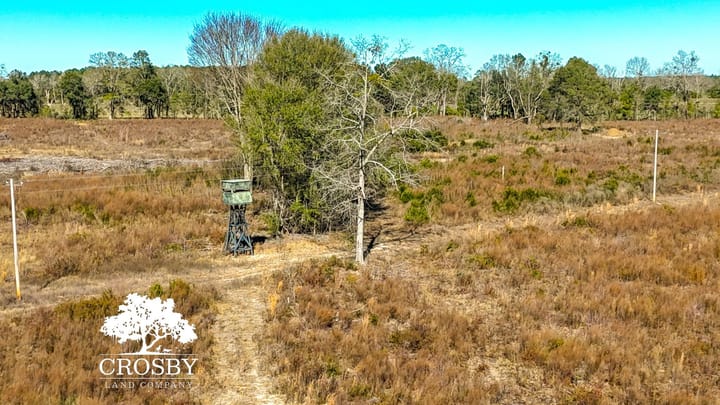 Dji 20260116125618 0031 D