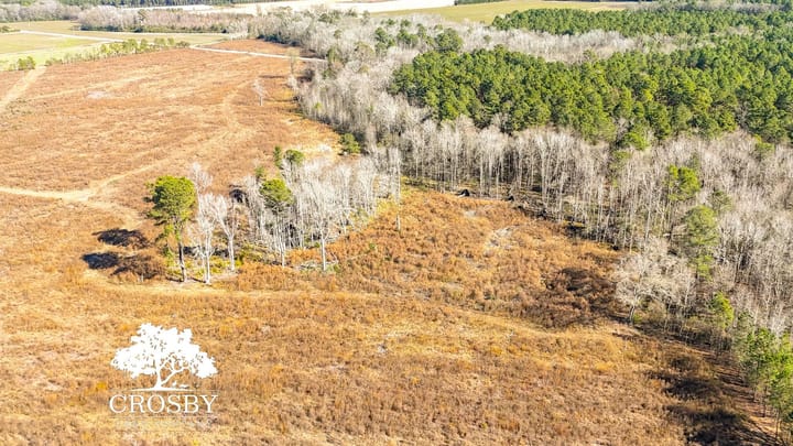 Dji 20260116125414 0029 D