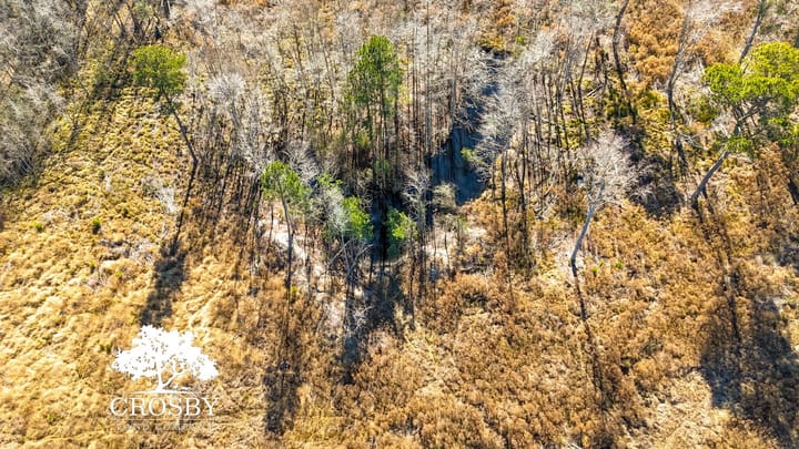 Dji 20260116130233 0036 D