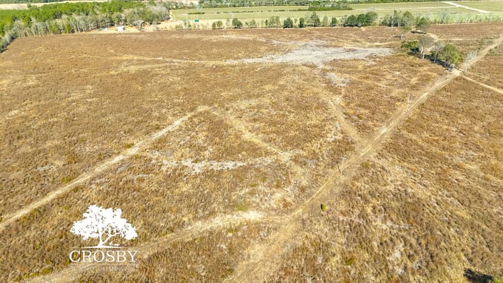 Dji 20260116125515 0030 D