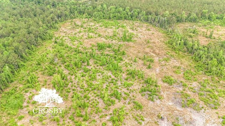 Dji 20260501110508 0040 D