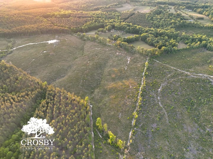 Dji 20260505194305 0075 V