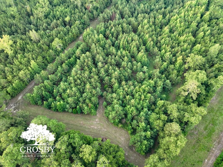 Dji 0219