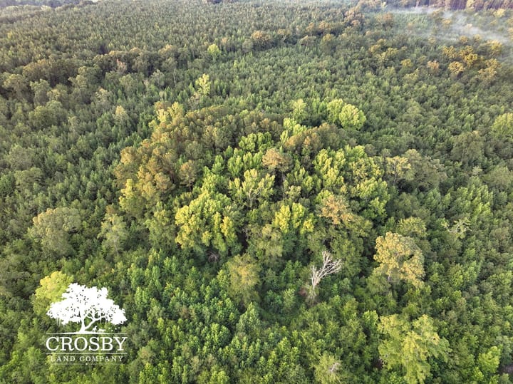 Dji 0226