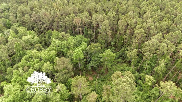 Dji 20260501112351 0058 D