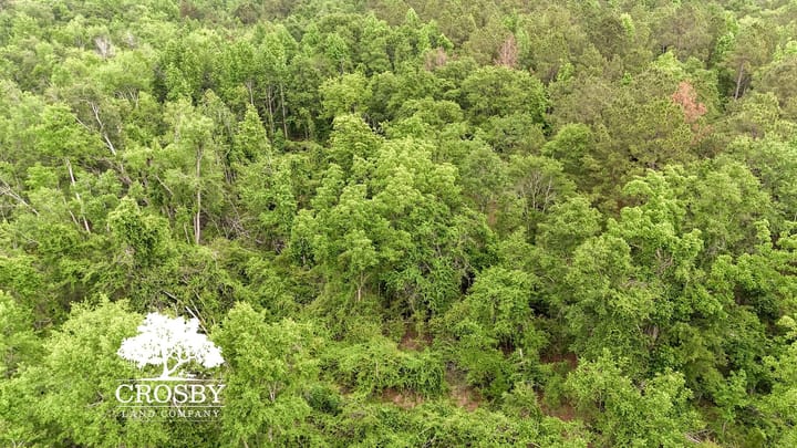 Dji 20260501112155 0057 D