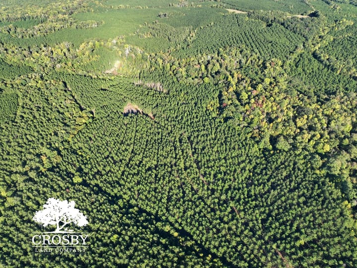 Dji 20261012164752 0032 V