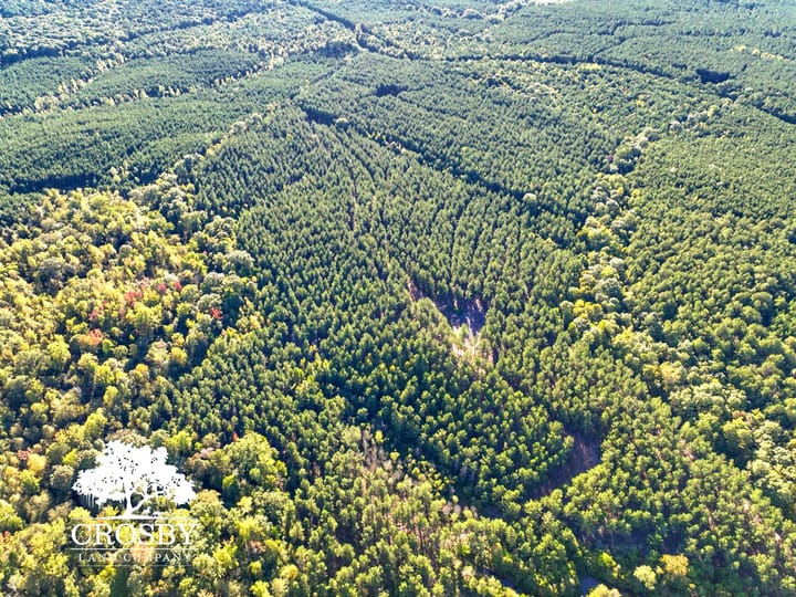 Dji 20261012164900 0051 V