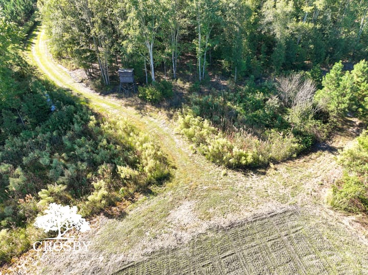 Dji 0703