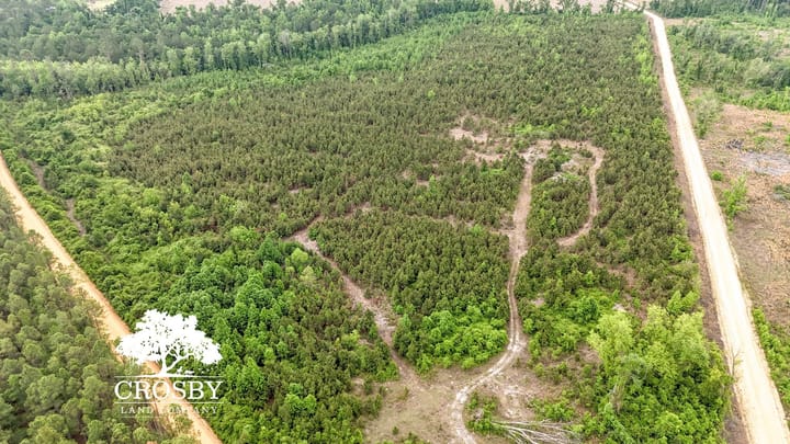 Dji 20260501110953 0049 D
