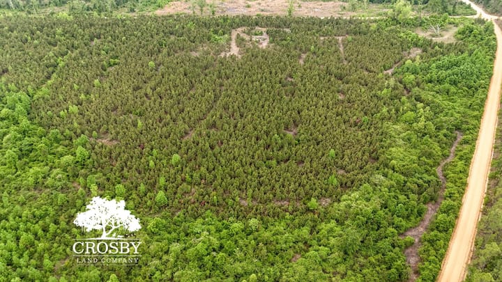 Dji 20260501111040 0050 D