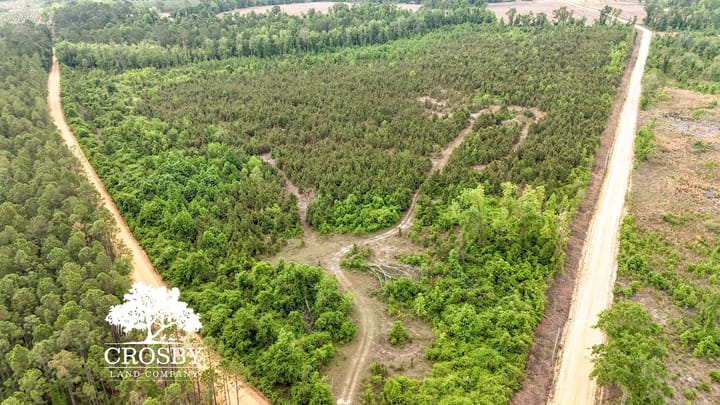 Dji 20260501110934 0048 D