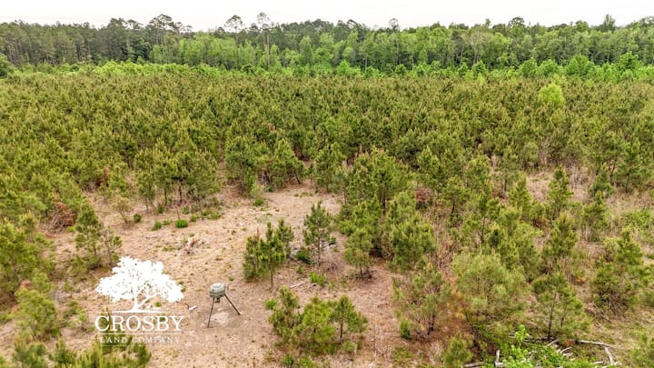 Dji 20260501111217 0052 D