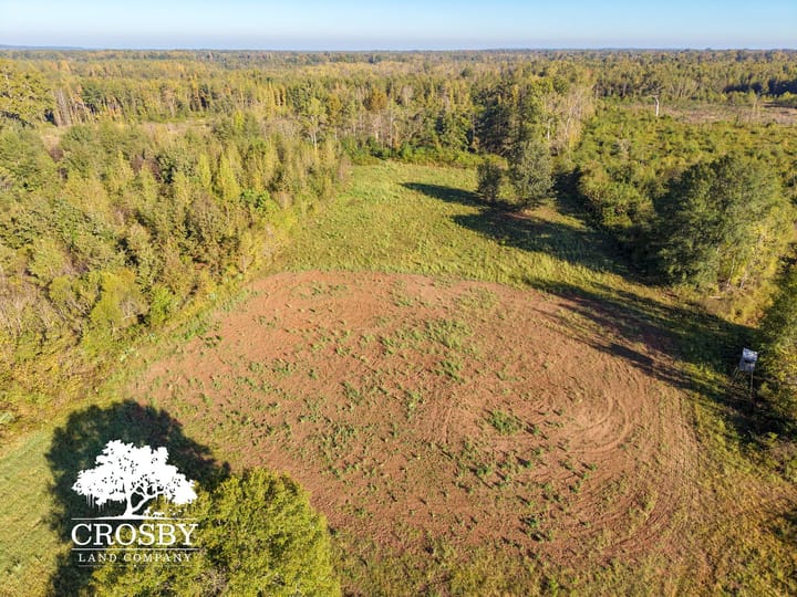 Dji Fly 20261006 091644 0070 1791299895659 Photo