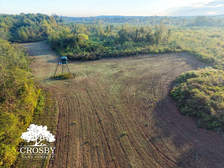 Dji Fly 20261006 083634 0054 1791299946042 Photo 1 