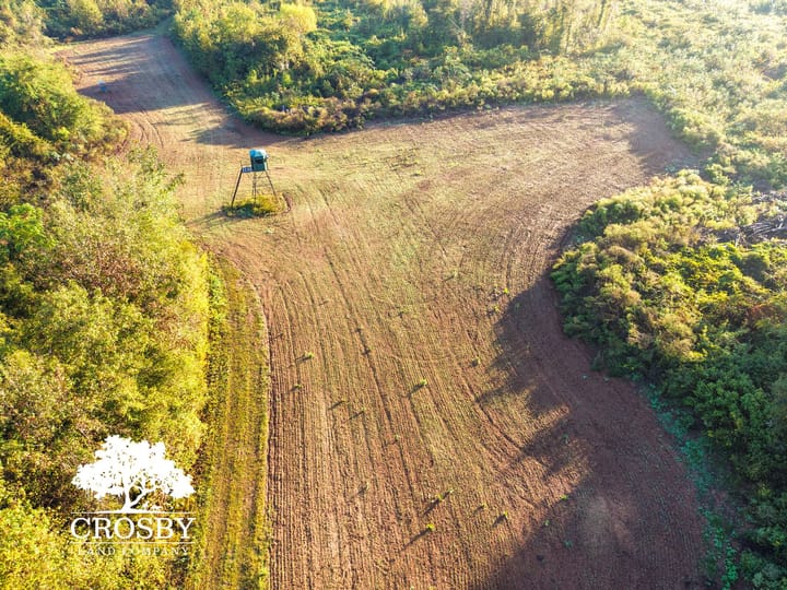 Dji Fly 20261006 083714 0057 1791299938993 Photo