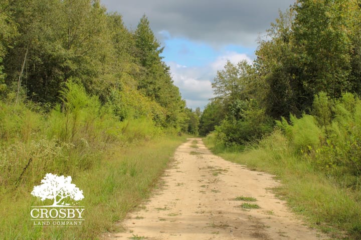 Img 2946