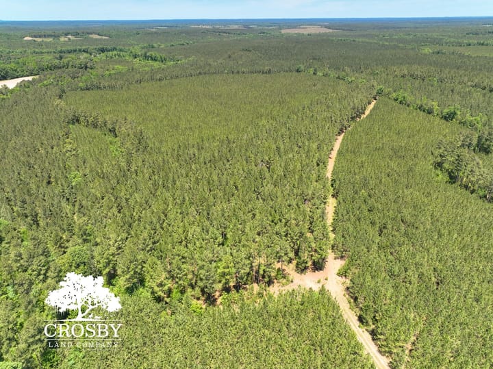 Dji 20260515125331 0005 V