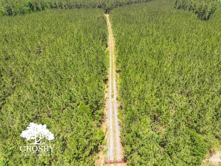 Dji 20260515125254 0004 V