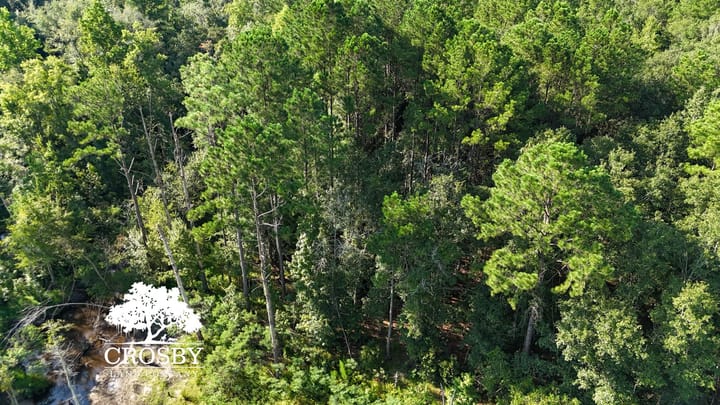 Dji 20260815093135 0067 D