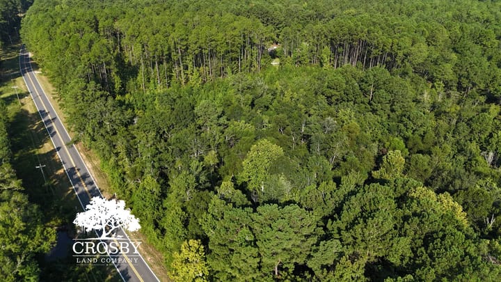 Dji 20260815093013 0065 D