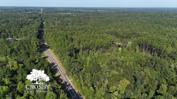Dji 20260815093400 0071 D