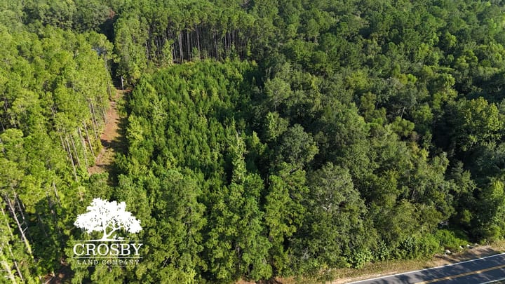Dji 20260815093319 0069 D