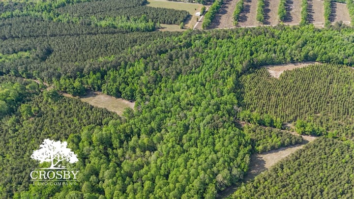 Dji 20260412164318 0040 D