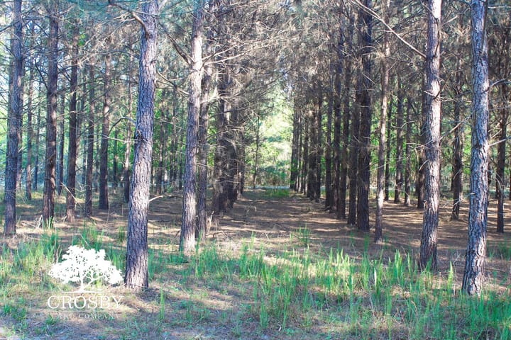 Img 0386